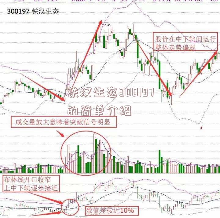 铁汉生态300197的简单介绍