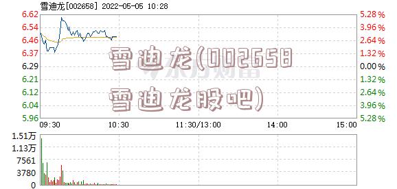 雪迪龙(002658雪迪龙股吧)