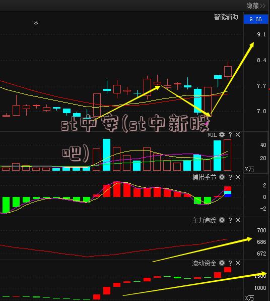 st中安(st中新股吧)
