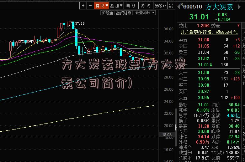 方大炭素股票(方大炭素公司简介)