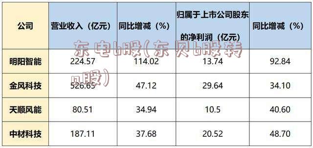 东电b股(东贝b股转a股)