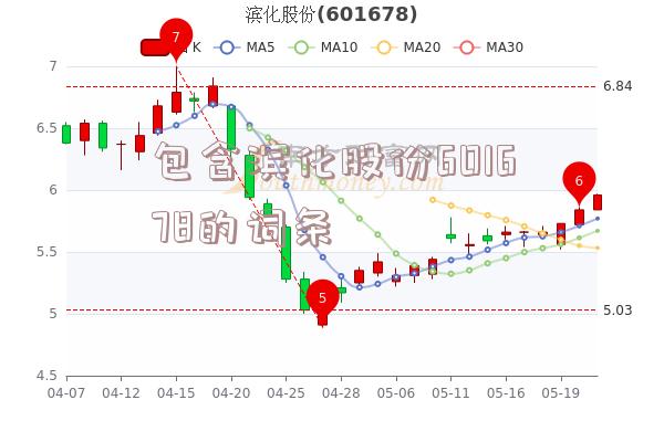 包含滨化股份601678的词条