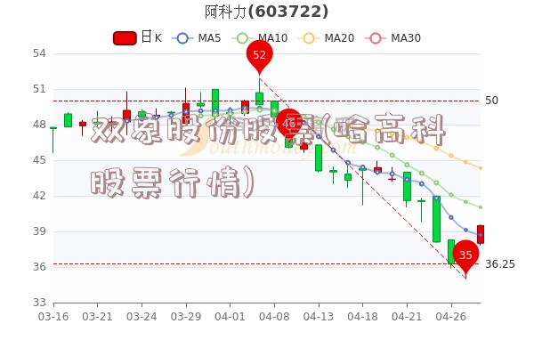 双象股份股票(哈高科股票行情)