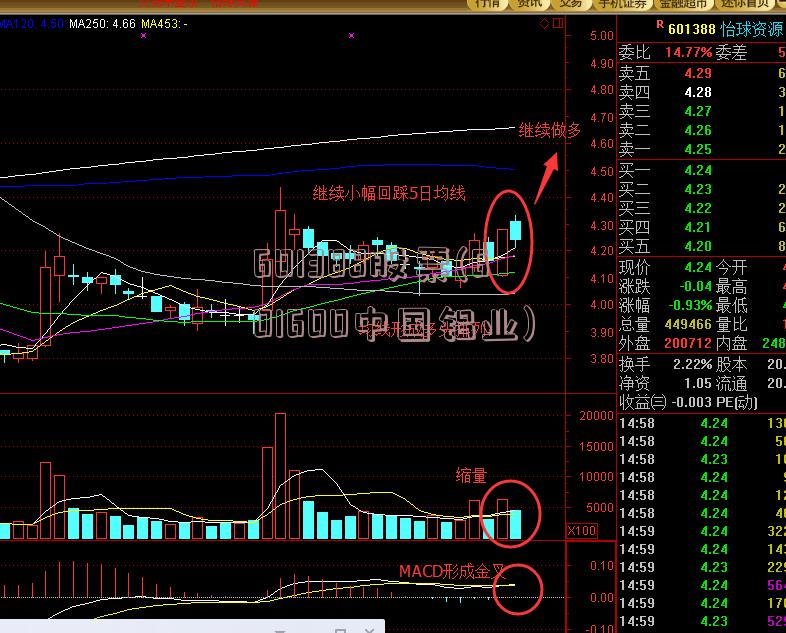 601388股票(601600中国铝业)