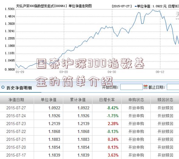 国泰沪深300指数基金的简单介绍