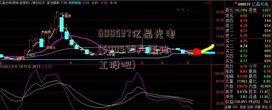 600537亿晶光电(600470六国化工股吧)