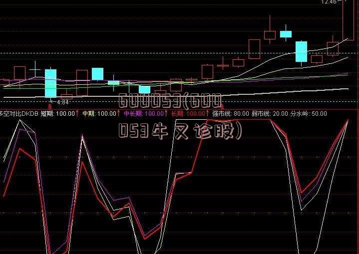 600053(600053牛叉诊股)