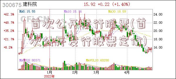 首次公开发行股票(首次公开发行股票定价)