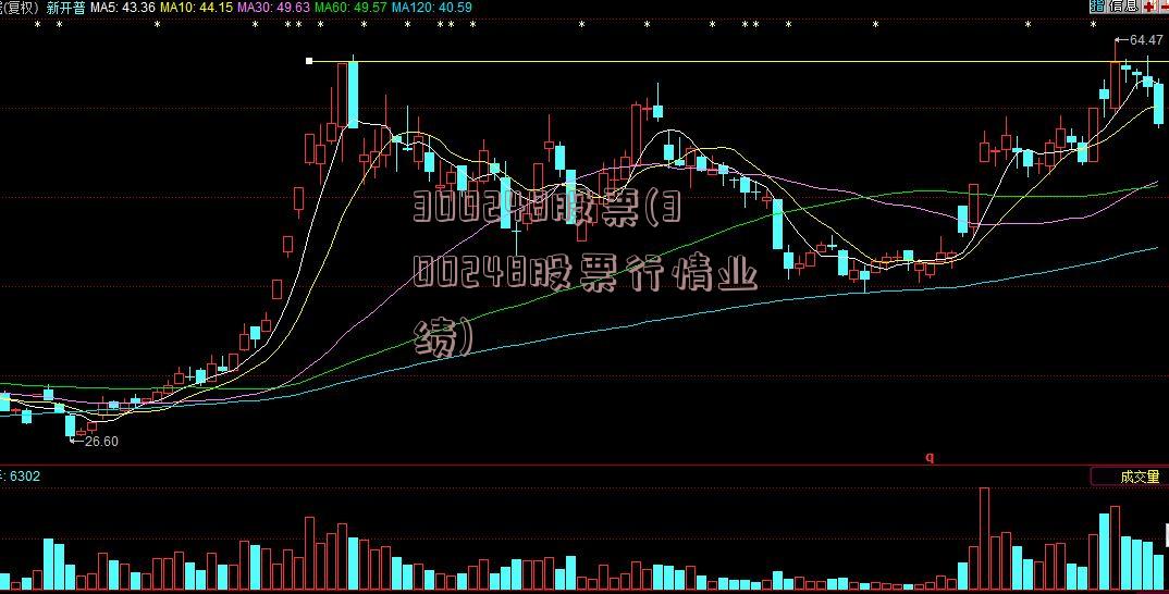 300248股票(300248股票行情业绩)