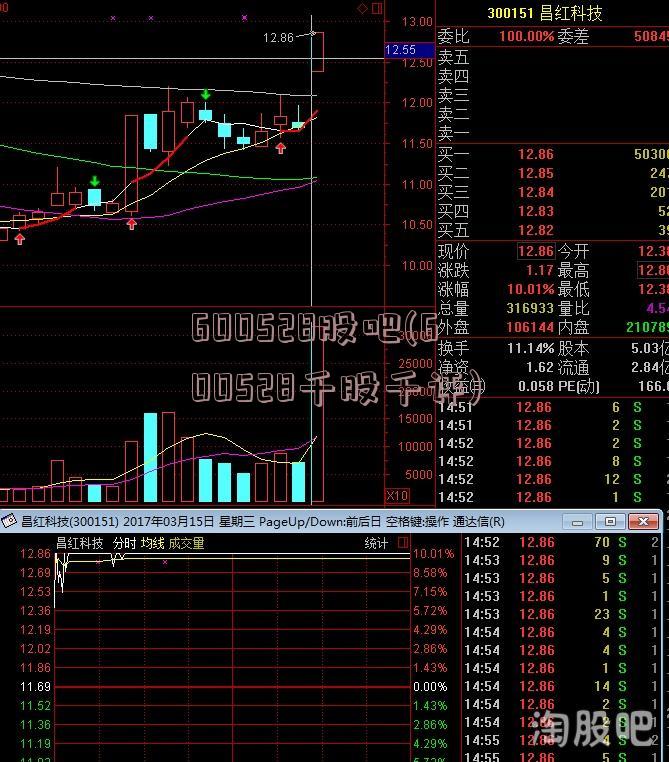 600528股吧(600528千股千评)