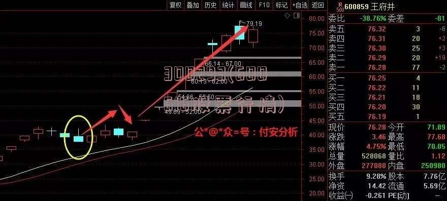 300293(600616股票行情)