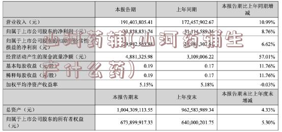 山河药辅(山河药辅生产什么药)