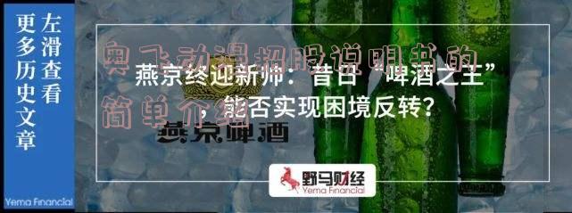 奥飞动漫招股说明书的简单介绍