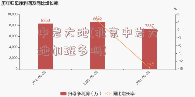 中岩大地(北京中岩大地加班多吗)