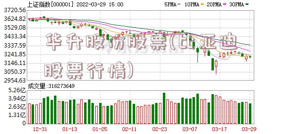 华升股份股票(比亚迪股票行情)