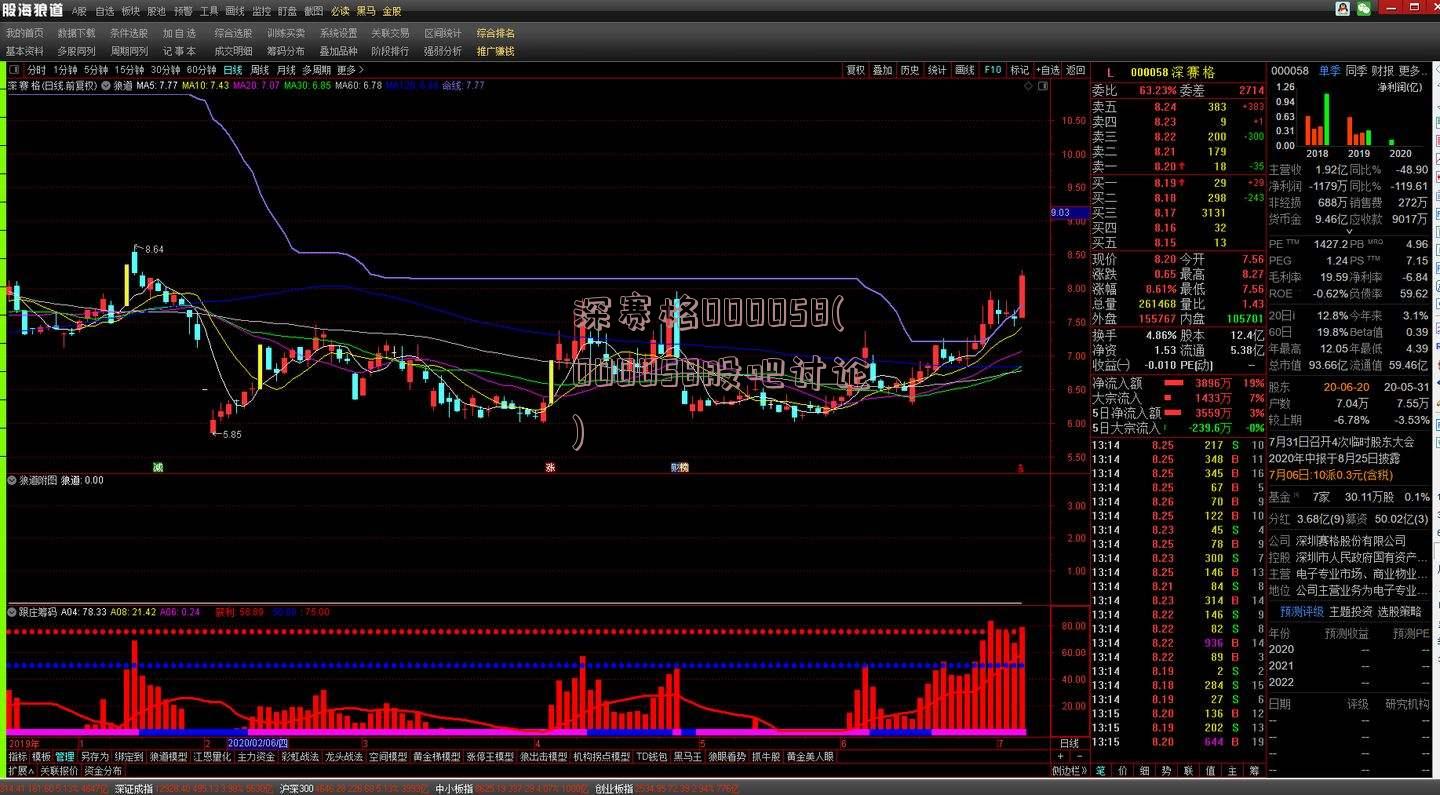 深赛格000058(000058股吧讨论)