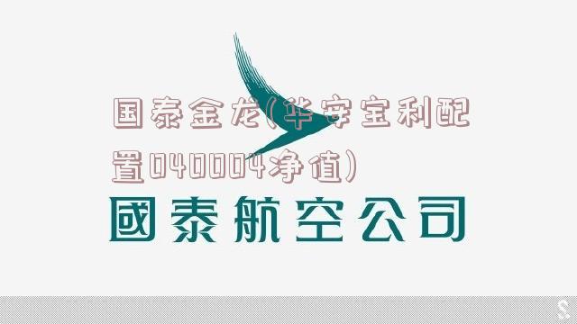 国泰金龙(华安宝利配置040004净值)