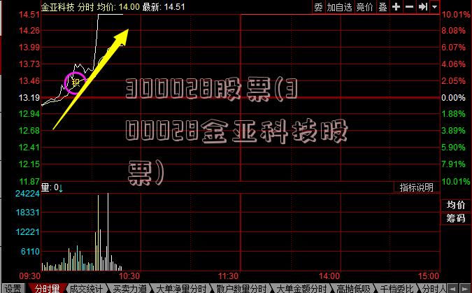 300028股票(300028金亚科技股票)