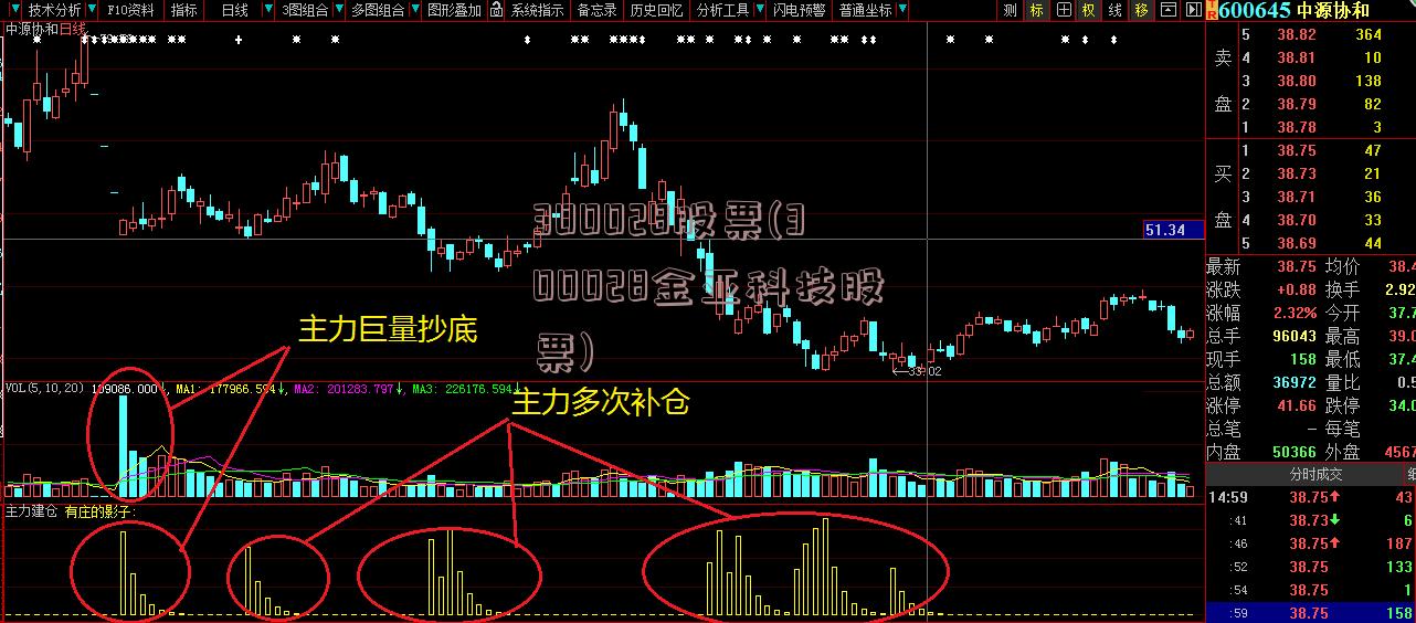 300028股票(300028金亚科技股票)