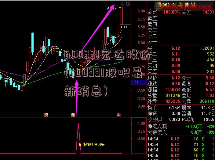 600331宏达股份(600331股吧最新消息)