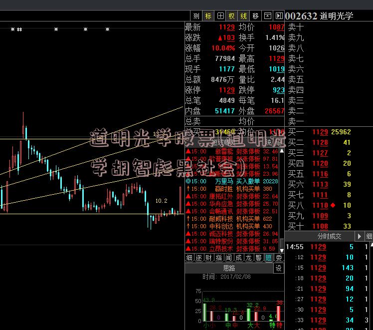 道明光学股票(道明光学胡智彪黑社会)