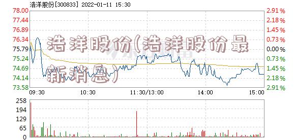 浩洋股份(浩洋股份最新消息)