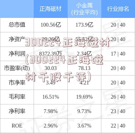 300224正海磁材(300224正海磁材千股千评)