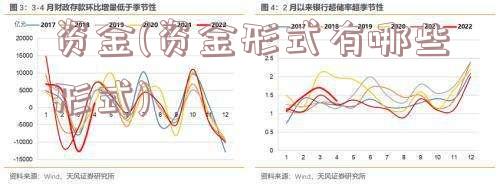 资金(资金形式有哪些形式)