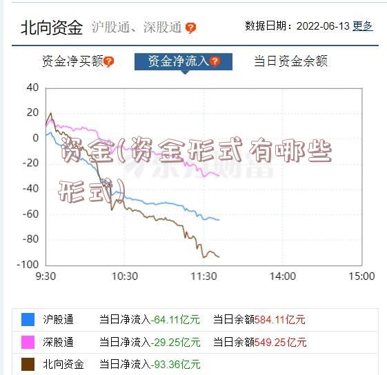 资金(资金形式有哪些形式)