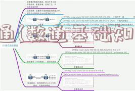 数通(数通基础知识)