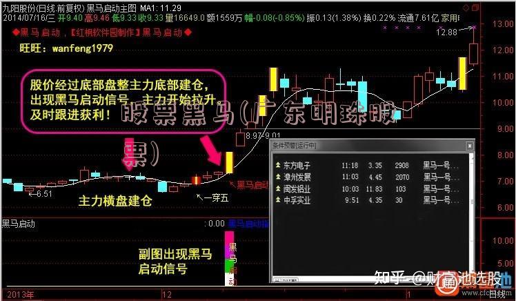 股票黑马(广东明珠股票)