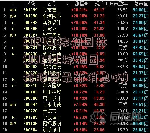 002431棕榈园林(002431棕榈园林股票最新消息啊)