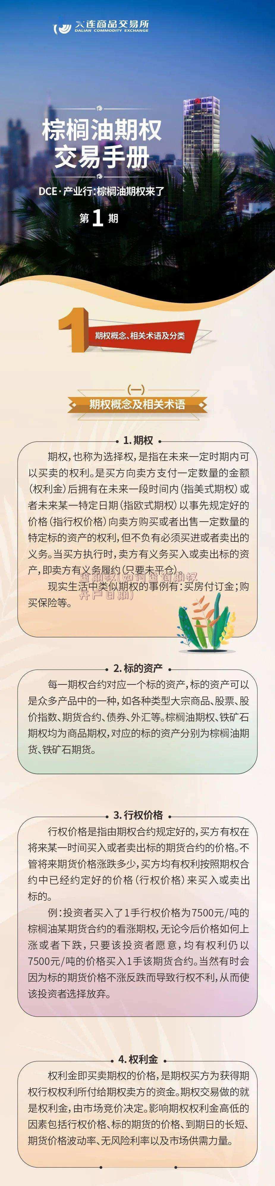 查期权(如何查询期权开户日期)