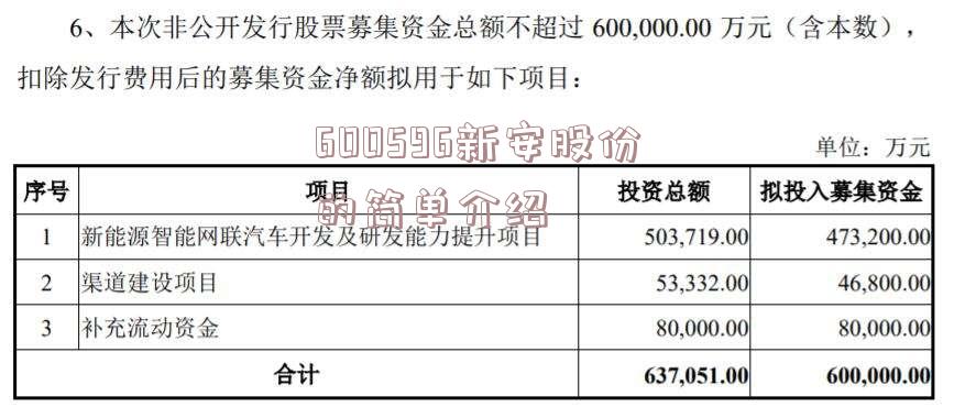 600596新安股份的简单介绍