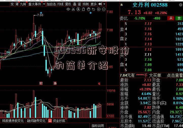 600596新安股份的简单介绍