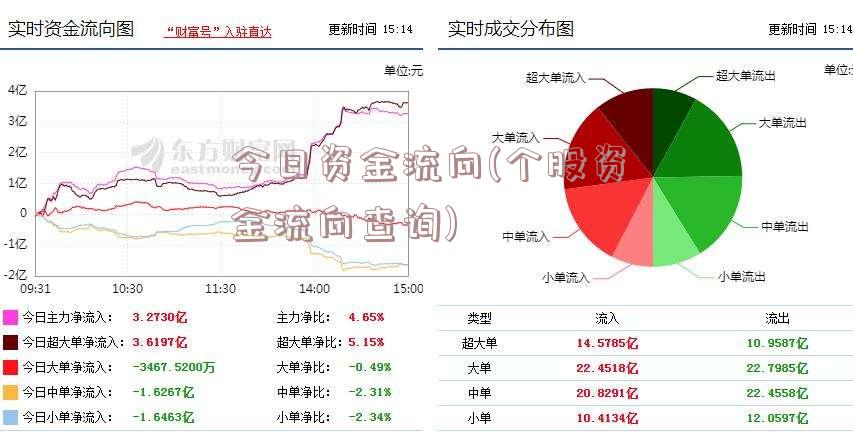 今日资金流向(个股资金流向查询)