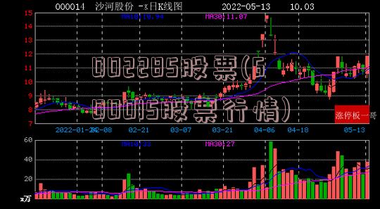002285股票(600015股票行情)