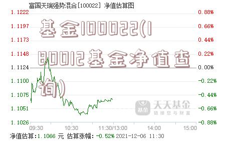 基金100022(180012基金净值查询)