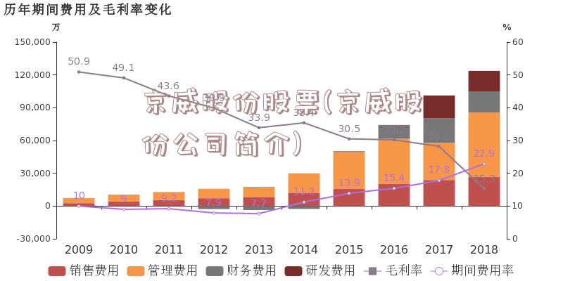 京威股份股票(京威股份公司简介)