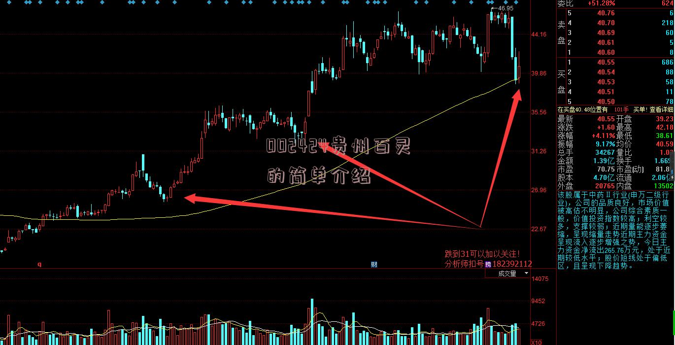 002424贵州百灵的简单介绍