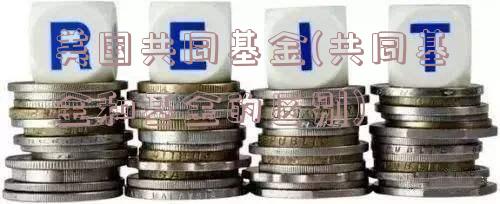 美国共同基金(共同基金和基金的区别)