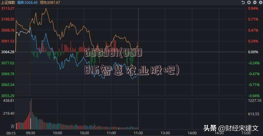 600381(000816智慧农业股吧)