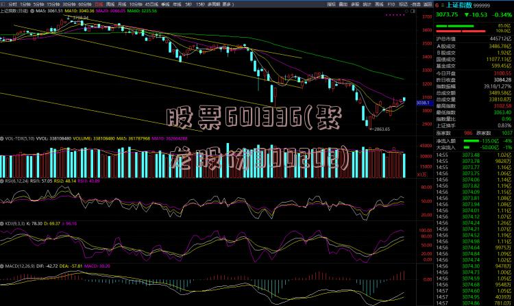 股票601336(聚龙股份300202)