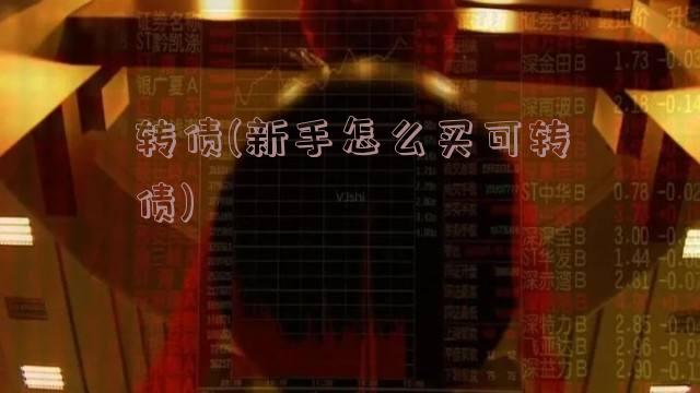 转债(新手怎么买可转债)