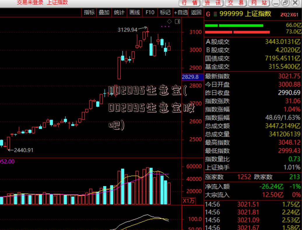 002095生意宝(002095生意宝股吧)