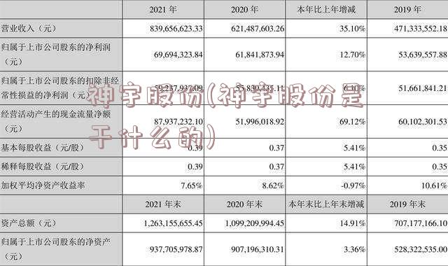 神宇股份(神宇股份是干什么的)