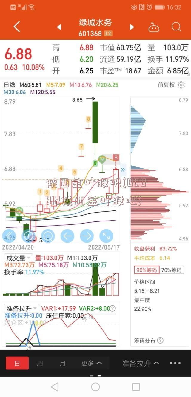 陕西金叶股吧(000812陕西金叶股吧)