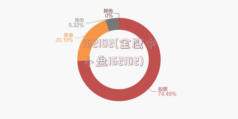 162102(金鹰中小盘162102)