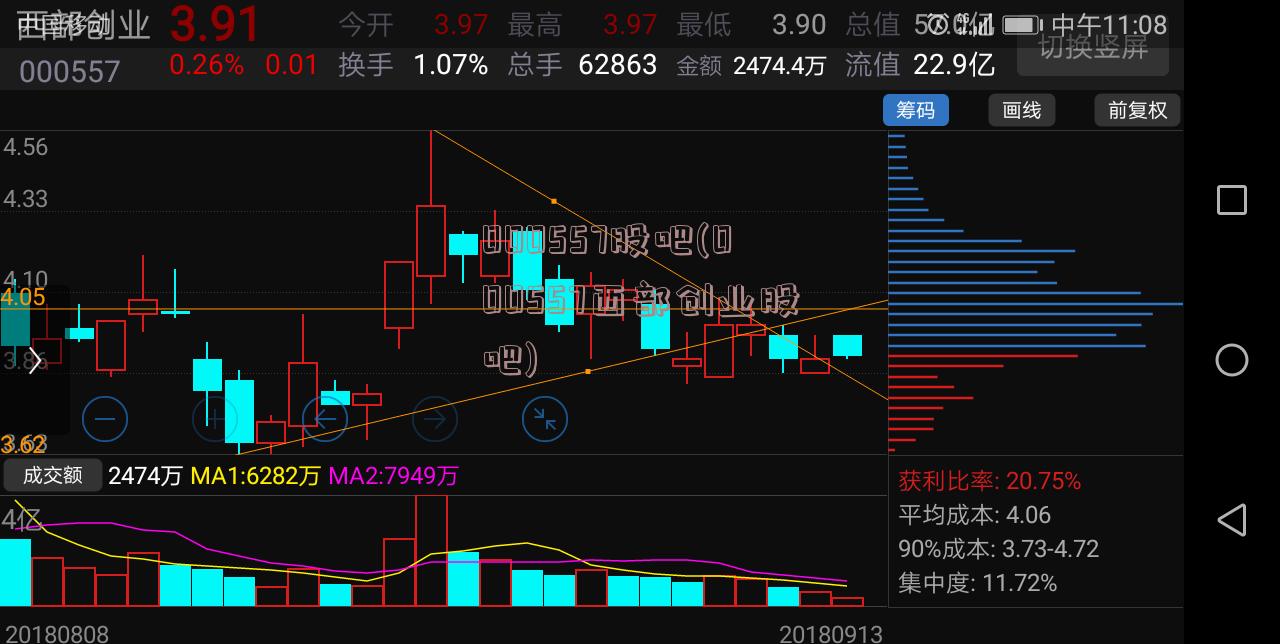 000557股吧(000557西部创业股吧)