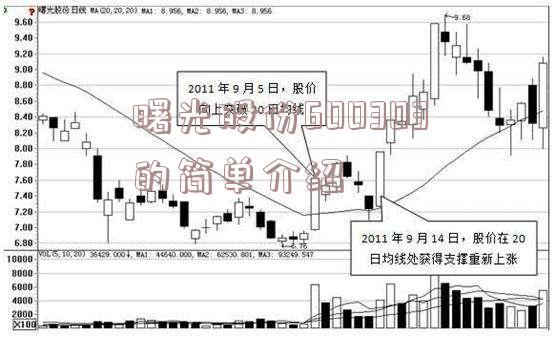 曙光股份600303的简单介绍